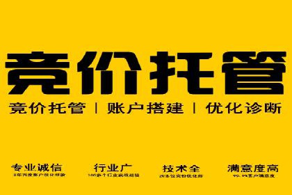 SEM优化托管：成功提升广告转化率的案例分析